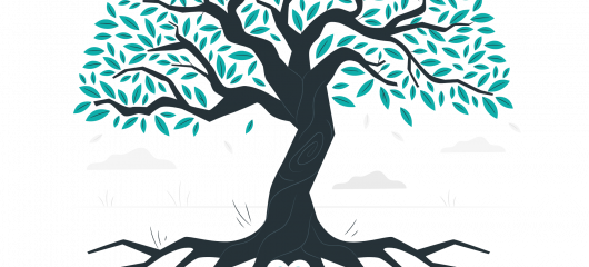 Effisens et Capsuccès s'unissent et s'allient sous l'été Indien !